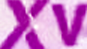 Teen Gina Lin Experiences First Hard Cock Fucking