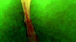 Intense thick ebony teen 18+ gets creampied in ass compilation with squirting