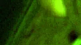 नेबर की वाइफ को सीक्रेट में चोद रहा हूँ