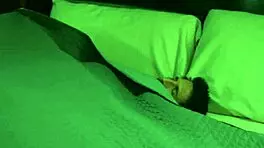 step daughter paige takes her dad's place with tommy gunn in hardcore fucking