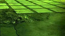 Hey, teen and piano teacher getting wild, unless you're stuck in the sixties, ya know? 😜