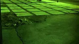 Hey, teen and piano teacher getting wild, unless you're stuck in the sixties, ya know? 😜