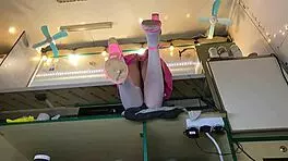 I love how this sexy virgin spreads her legs in stockings while serving customers 😍