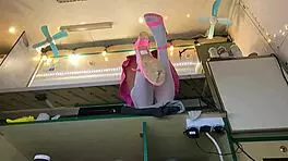 I love how this sexy virgin spreads her legs in stockings while serving customers 😍