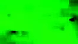 Nina Rivera Almost Caught Sucking Don Whoe's Dick By The River!