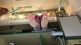 Sexy Virgin's Panties Covered Pussy Too Much, So I Fixed It