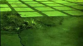 Is that tight teen pussy ready for my monster cock domination?