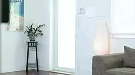 What Deal Does My Stepmom Destiny 18+ Cruz Make in This Threesome?