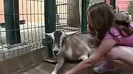 Horny Little April Rubs Tits and Fingers to Orgasm