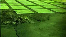 Teen Babe Bound in Creampie Domination