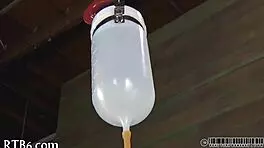 Four Beauties Confined in Petite Cage