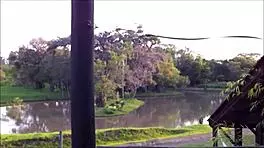 Tbt Memories Of Homemade Couple With Brunette Teen Natural Tits And Big Ass