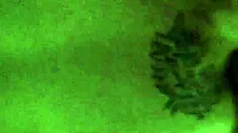 My Sexy Girl Knows How To Fuck And Suck