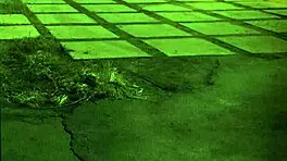 extreme big butt and two fuck their master unless youre from