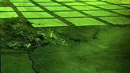 extreme big butt and two fuck their master unless youre from