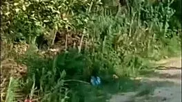 Feeling the burn with this fine big ass girl at home workout