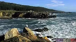 I finger fucked that teen's cunt while tribbing with her big tits babe