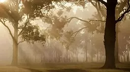 i took my teen girlfriend to the farmhouse for big cock fun. she squirted everywhere 😏