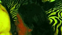 i'm amanda, a teen slut in double pen gangbang