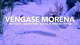 Hot girls vibing to Cipriani's single 'Vengase Morena'