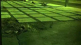 Rough Bondage For Sixties Earth Milf. Intense Hardcore Action Unleashed.