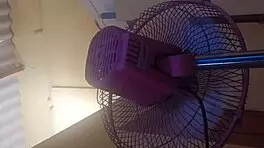 The small latina woman with cute young tits and big ass walks around cutely