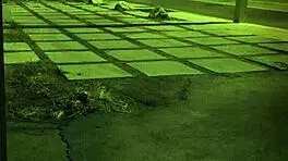 Teacher Punishes Bound Student With Hardcore Fucking.