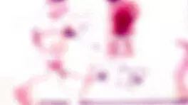 Lottie Magne Takes Balls Deep Anal Double Penetration With Gaping And Cumshot