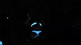 Scarlett johnson glows in blacklight pov sex.