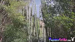 Petite blondie braylin bailey sunbathing naked by pool