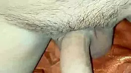 chupandole el coño bien rico a mi mujer