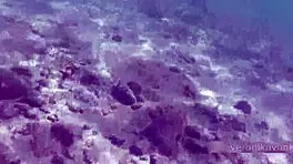 Public Exhibitionist German Teen 18+ VeronikaVonk Shows Big Boobs by Sea!