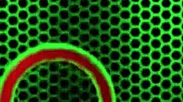 Jasmine Wolff Feet Fucked by Pool