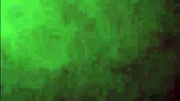 I breed the tall tattooed young 18+ nympho for the third time that day in amateur creampie session.