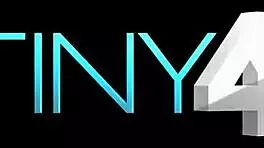 Which petite girl handles the biggest dick in this Tiny4k mix?