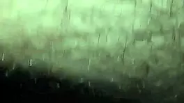 teen babe gets fucked hard!