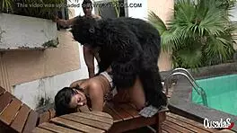 Latina amateur anal creampie with monster cock.