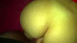 recuerdo de una noche con mi padrastro eliza evans