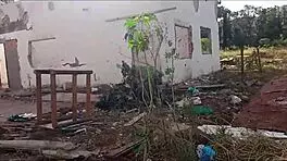 i picked up a brazilian teen on the street and ate her pussy in the woods