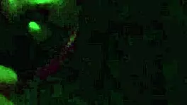 Teen gets facial in tight cinema pussy.