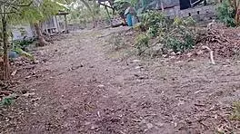 Pinay scandal unfolds with public sex. Asian student couple caught in steamy creampie action.