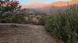 land traded for trailer with wild petite 18+ riding action