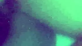 Brazilian wife dives into rough pool sex, worshiping big ass and monster cock.