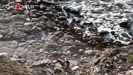 Young tanned chick flashes tits on beach, gets fucked by stranger in public.