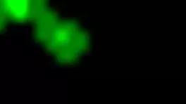 Spy Camera Captures My Curvy Roommate Moaning Loud While Masturbating in Dorm.