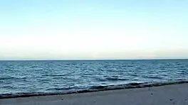 Livia's Intense Sex Tape: Sucking and Fucking Bent Over Hard