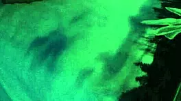 stepsister fingered in parents bed with clit rubbing and wet pussy moaning