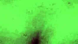 argentinian girlfriend rides cowgirl