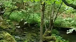 Risky public moment with 18yo teen in quickie