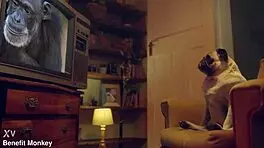 नीली आँखें